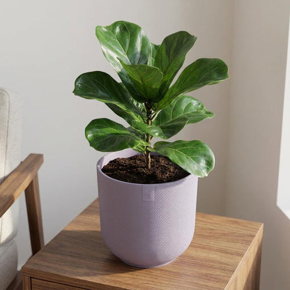 Sierpot - Jazz Round Lavender Lilac - Ø 23cm
