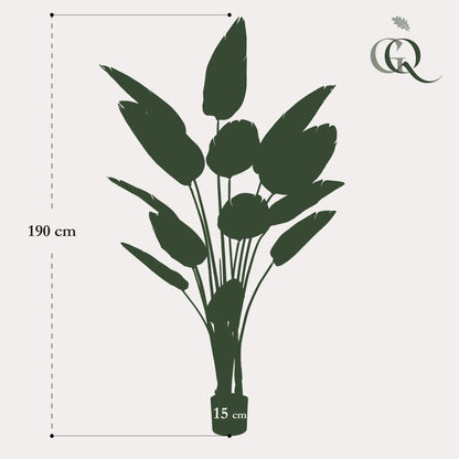 XL Kunstplant - Strelitzia Nicolai Paradijsvogelbloem - Hoogte ↕ 190cm
