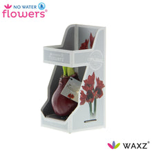 Kunstplant - Waxz® Bordeaux in Gift Box - Hoogte ↕ 15cm