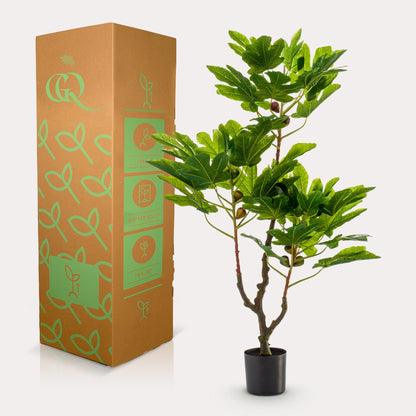 Kunstplant - Ficus Carica Vijgenboom - Hoogte ↕ 95cm
