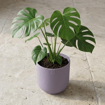 Sierpot - Jazz Round Lavender Lilac - Ø 19cm