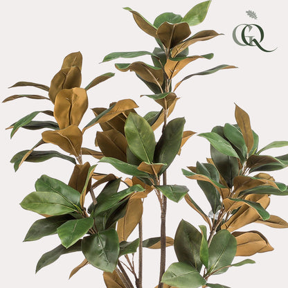 XL Kunstplant - Magnolia Grandiflora - Hoogte ↕ 150cm