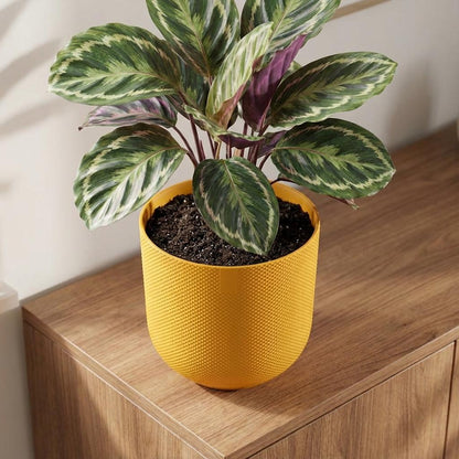 Sierpot - Jazz Round Amber Yellow - Ø 14cm