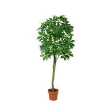 XL Kunstplant - Pachira Aquatica - Hoogte ↕ 150cm