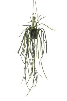Kunstplant - Rhypsalis Koraalcactus - Hoogte ↕ 85cm