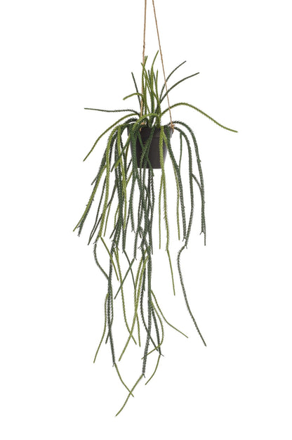 Kunstplant - Rhypsalis Koraalcactus - Hoogte ↕ 85cm
