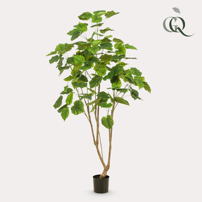 XL kunstplant - Ficus umbellata - Afrikaanse vijg - Hoogte ↕ 180cm