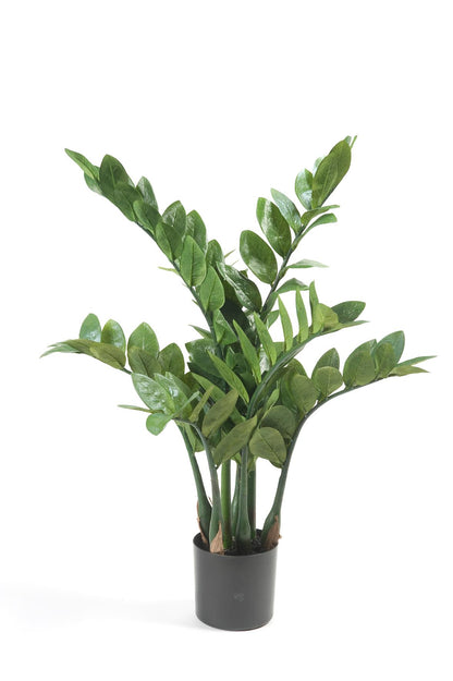 Kunstplant - Zamioculcas Kamerpalm - Hoogte ↕ 70cm