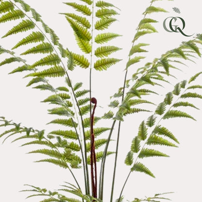 Kunstplant XL - Rumohra Adiantiformis Ledervaren - Hoogte ↕ 180cm