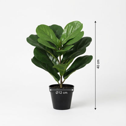 Kunstplant - Ficus Lyrata - Hoogte ↕ 40cm