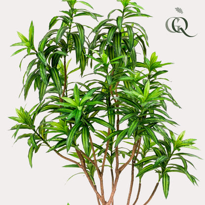 Kunstplant XL - Dracaena Drakenboom - Hoogte ↕ 190cm