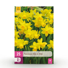 Buitenplant 25x Narcis Tete-A-Tete - Bloeiend - Bolmaat 10/11