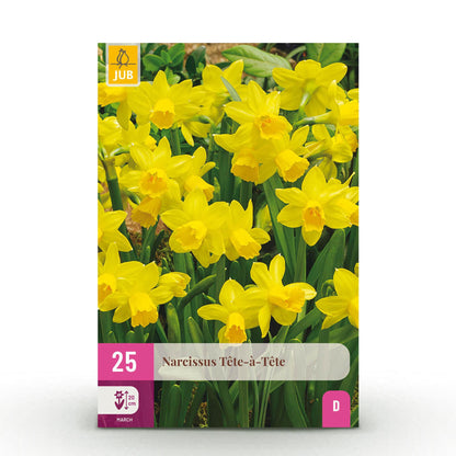Buitenplant 25x Narcis Tete-A-Tete - Bloeiend - Bolmaat 10/11