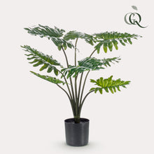 Kunstplant - Philodendron - Hoogte ↕ 60cm