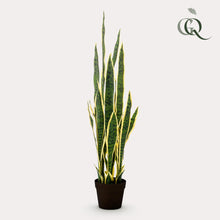 Kunstplant - Sanseveria Trifasciata - Vrouwentong - Hoogte ↕ 97cm