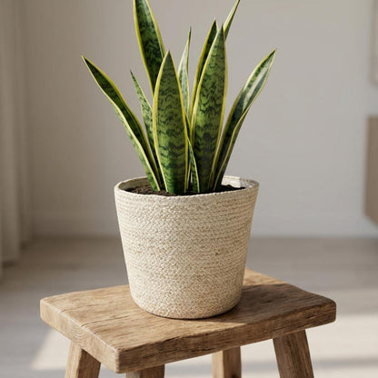 Mand - Selin - Ø 22cm Hoogte ↕ 19cm
