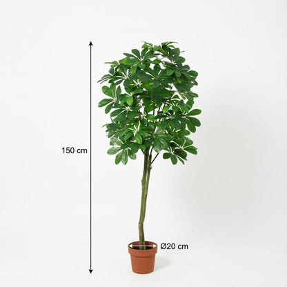 XL Kunstplant - Pachira Aquatica - Hoogte ↕ 150cm