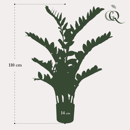 XL kunstplant - Zamioculcas Kamerpalm - Hoogte ↕ 110cm