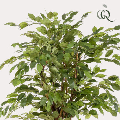 Kunstplant - Ficus liana Vioolbladplant - Hoogte ↕ 170cm
