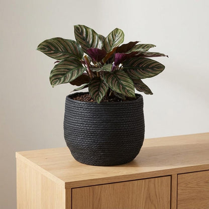 Sierpot - Mand Jorck Zwart - D26cm