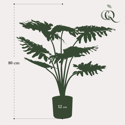 Kunstplant - Philodendron - Hoogte ↕ 60cm