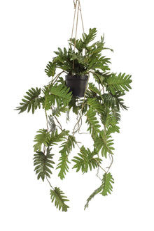 Kunstplant - Philodendron Klimmende boomliefhebber - Hoogte ↕ 80cm