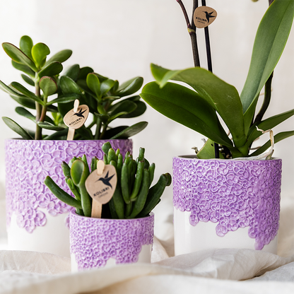 Sierpot - Bloom Lila - Pot Ø 6cm
