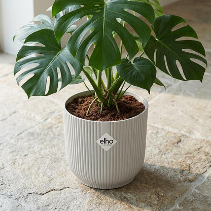 Sierpot - Vibes Fold 22cm - Wit
