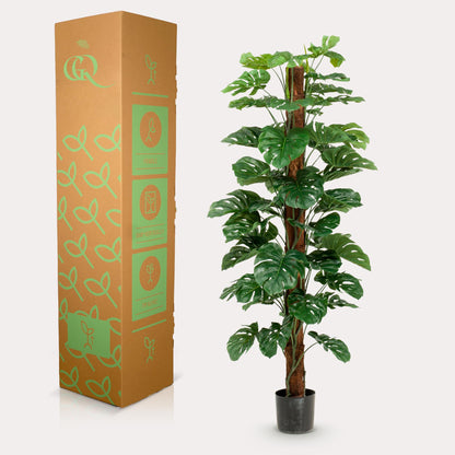 Kunstplant XL - Monstera Deliciosa - Hoogte ↕ 180cm