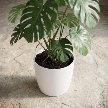 Pot - ELHO Brussels Rond 25cm - Wit