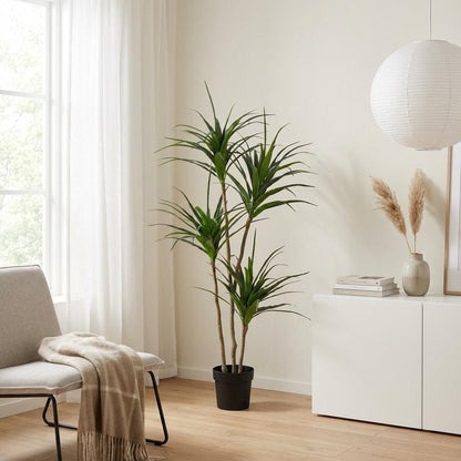 Kunstplant - Dracaena - Hoogte ↕ 165cm