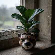 Sierpot - Planter Luipaard Bruin - Ø 12cm x H 9,5cm