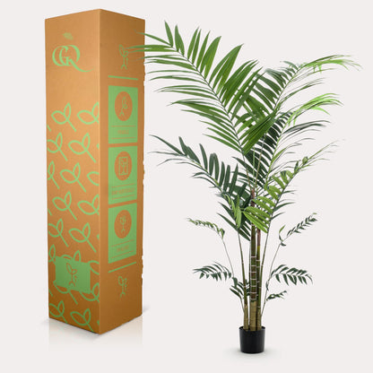 XL Kunstplant - Kentia Kentiapalm - Hoogte ↕ 210cm
