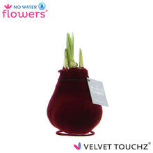 Kunstplant - Velvet Touchz® Bordeaux - Hoogte ↕ 15cm