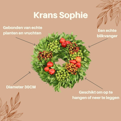 Decoratieve krans - Echte krans Sophie - Ø 30cm