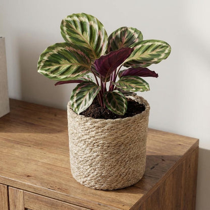 Mand - Naturel - D14cm