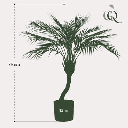 Kunstplant - Chamaedorea Bergpalm - Hoogte ↕ 85cm