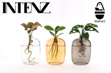Kamerplant 3x Kamerplanten Mix - Pot Ø 7cm Hoogte ↕ 10cm