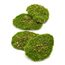 Kunstplant - Mosplaat Groen Mos - Set van 4