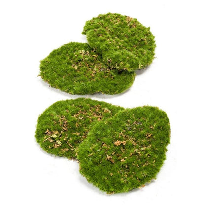 Kunstplant - Mosplaat Groen Mos - Set van 4