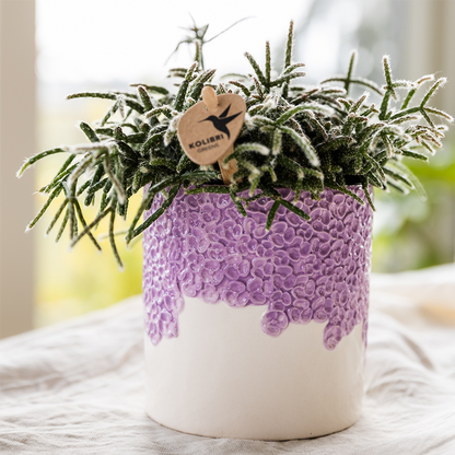 Pot - Bloom Sierpot Lila - Ø12cm