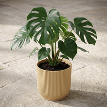 Sierpot - Vibes Fold 18cm Geel