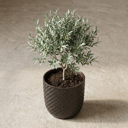 Pot - Pot Relief Zwart - Ø 13,5cm