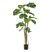 Kunstplant - Monstera Gatenplant - Hoogte ↕ 180cm