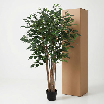 XL Kunstplant - Ficus Benjamina - Hoogte ↕ 150cm