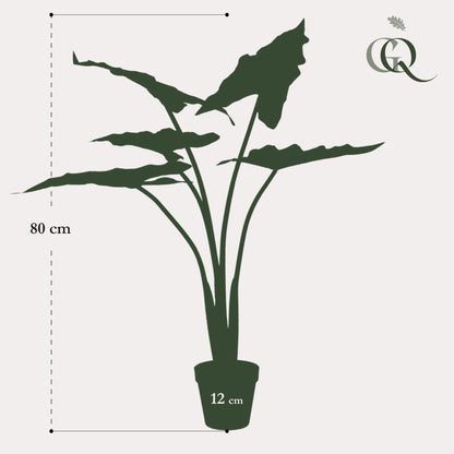 Kunstplant - Alocasia Frydek Olifantsoor - 80 cm
