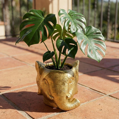 Sierpot - Planter Olifant Goud - D11/12cm x H10cm