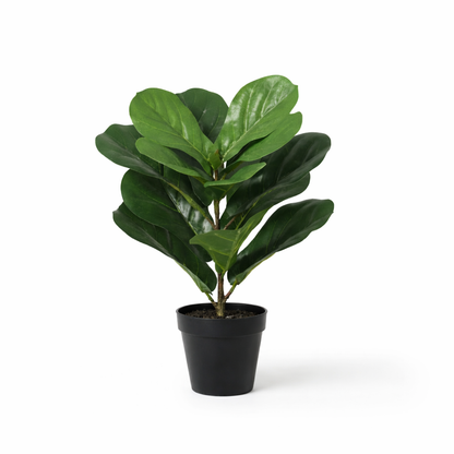 Kunstplant - Ficus Lyrata - Hoogte ↕ 40cm