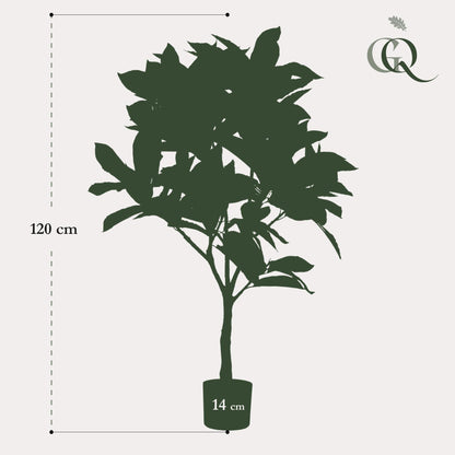 Kunstplant - Croton Codiaeum Wonderstruik - Hoogte ↕ 120cm