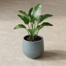 Pot Gabriel Rond Blauw - Ø 14cm